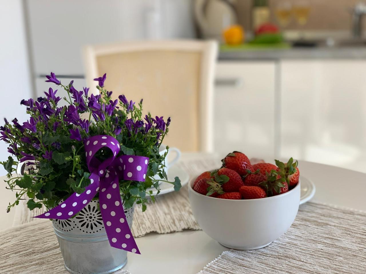Karina Apartment Budva Ngoại thất bức ảnh